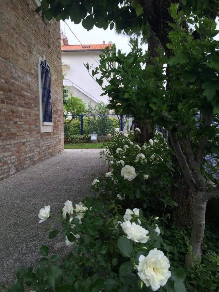 La Casa Della Cicogna Una Casa Al Mare Ideale Anche Per Gli Impegni Di Lavoro O Studio Villa Bellocchi Luaran gambar